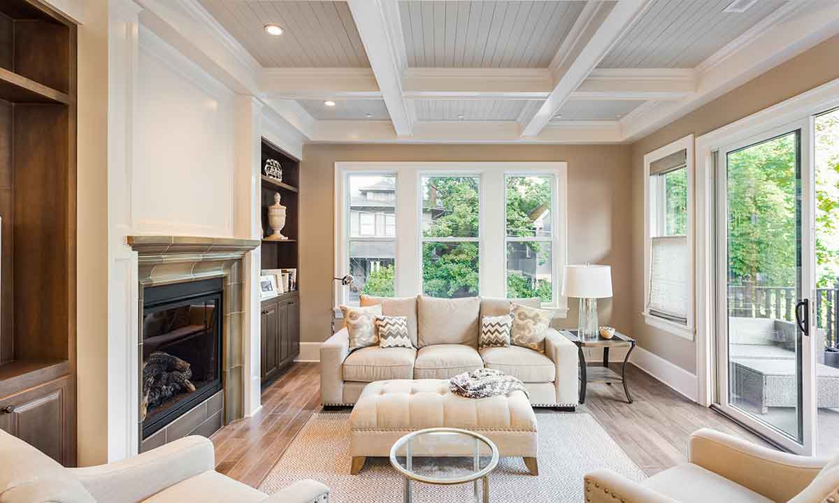 Living Room Vueline Windows